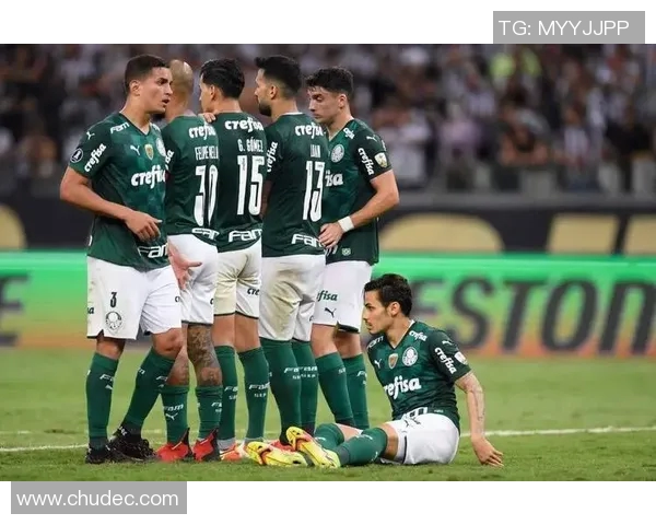 帕梅拉斯与累体育2017年精彩对决回顾与分析